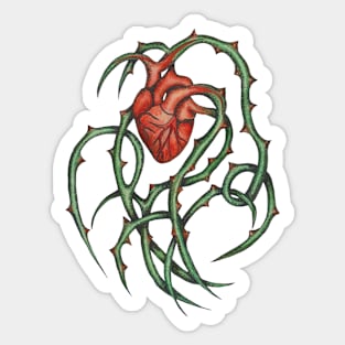 Heart and rose bush Sticker